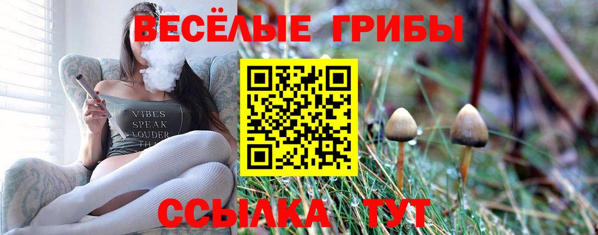 Псилоцибиновые грибы Magic Shrooms Аша