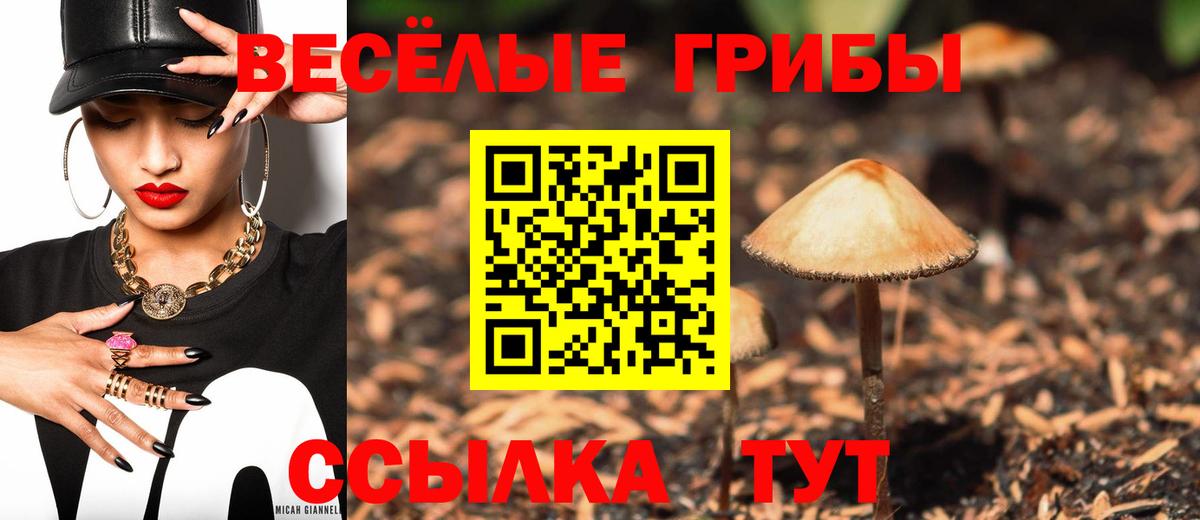 Галлюциногенные грибы Cubensis  Вход с VPN  Аша 